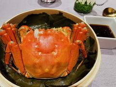 -子福慧(虹桥店)