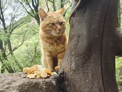 -终南山南五台景区