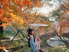 -田野绿世界