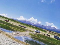 -青海湖国家重点风景名胜区