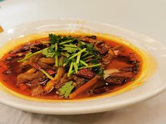 -重庆长寿碧桂园凤悦凤凰酒店