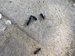 -盛彼得温泉度假酒店