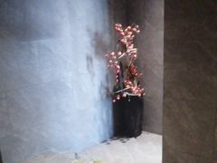 -星河湾温泉洗浴酒店