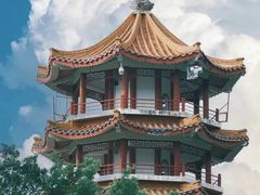 -深圳仙湖植物园