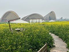 -中国天府农业博览园