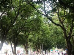 -广西大学(大学东路校区)