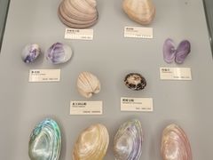 -天津古林古海岸遗迹博物馆