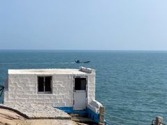 -坛南湾阿强农家乐.海鲜大排档老字号(福州地标美食店)