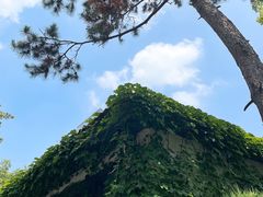 -熙古里艺术村