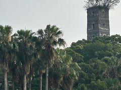 -江心屿景区