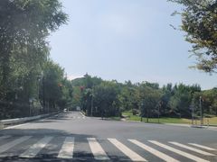 -上海佘山国家森林公园天马山园