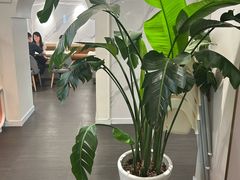 -鹿港小镇(黄金店)