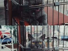 -床吧创意私房菜•Bistro