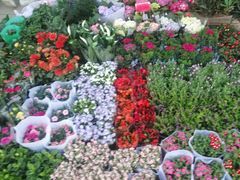 -长乐公园游乐场