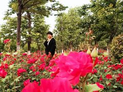 -西安汉城湖景区