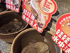 -印象鲵宴·张家界地标美食名片(溪布街店)