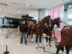 -上海汽车会展中心