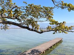 -西昌邛海湿地