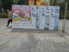 -东湖落雁景区