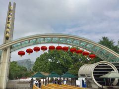 -南山植物园