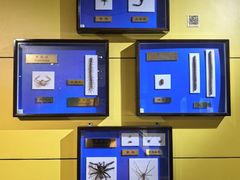 -上海昆虫博物馆