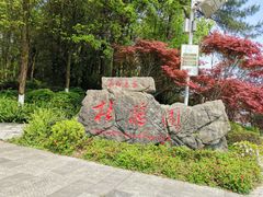 -铁山坪森林公园