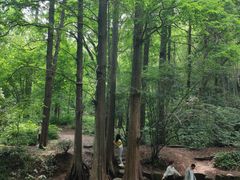 -国生茶庄·地道农家菜团建活动