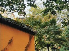 -灵隐飞来峰景区