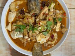 -煲来饱去冷水鱼