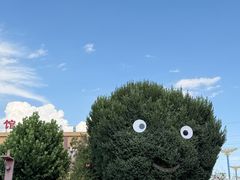 -特克斯八卦城