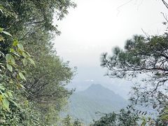 -铁山坪森林公园