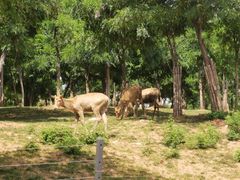 -济南野生动物世界