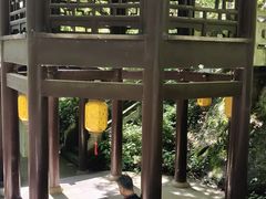 -方岩风景区