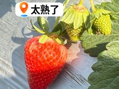 -凤岗南门山森林公园