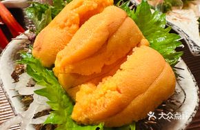 Golden Supreme Sea Urchin