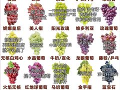 -四川北路(地铁站)