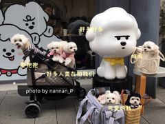 -Seesaw Coffee(上生新所店)