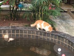 -龙达温泉生态城