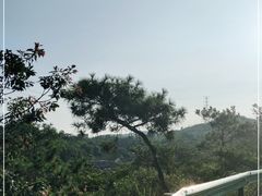 -清境桃源