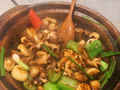 生啫八爪鱼-啫神·广州地标美食(北京路店)