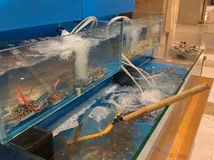 水产区-咖啡厅自助餐厅(贵阳中天凯悦酒店)