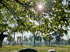 -汉长安城未央宫国家考古遗址公园