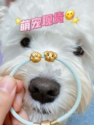 -周生生Chow Sang Sang(天津恒隆广场店)