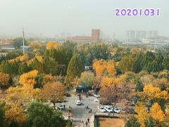 -丰台花园