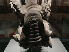-福建博物院