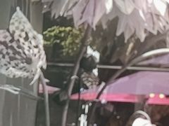-吾悦广场(南京鼓楼店)