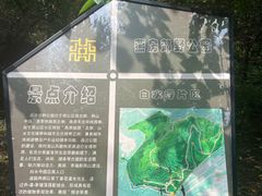 -白水寺森林公园