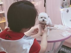 -FAELING PETS美天灵宠物(富力广场店)