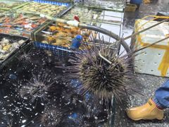 -霞涌市场海鲜摆卖区