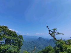 -青城山